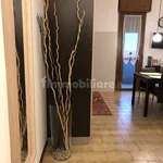 Rent 1 bedroom apartment of 40 m² in Reggio nell'Emilia