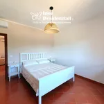 Rent 1 bedroom apartment of 50 m² in Palau