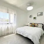 Rent a room in madrid