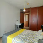 Alquilar 5 dormitorio apartamento en Madrid