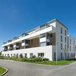 Apartment for rent in 4320 Perg, Magazinstraße 6/2/16