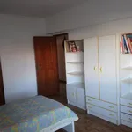 Rent 5 bedroom apartment in Lisbon