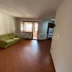 Rent 2 bedroom apartment of 65 m² in Prato