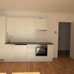 Rent 2 bedroom apartment of 48 m² in Graz