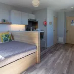 Rent 1 bedroom apartment in Exeter