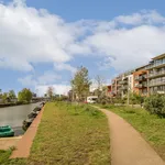 Rent 3 bedroom apartment of 52 m² in Noordelijke IJ-oevers-West