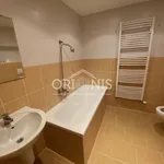 Rent 2 bedroom apartment of 60 m² in Chomutov