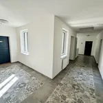 Pronajměte si 2 ložnic/e byt o rozloze 34 m² v Pilsen