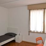 Rent a room of 200 m² in Trento