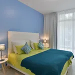 Rent 2 bedroom apartment of 43 m² in Toulouse