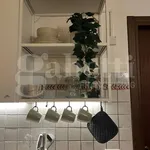 Rent 1 bedroom apartment of 30 m² in Palermo