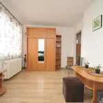 Rent 1 bedroom apartment of 20 m² in Szczecin