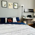 Rent a room in turin