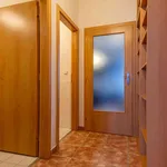 Rent 3 bedroom apartment in Praha 9