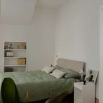 Rent 1 bedroom apartment in Roma