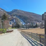 Rent 2 bedroom apartment of 43 m² in Pragelato