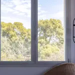 Alquilar 8 dormitorio apartamento en Barcelona