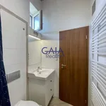 Rent 1 bedroom apartment in Břeclav