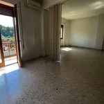 Rent 13 bedroom apartment of 500 m² in Frosinone