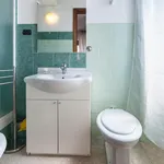 Rent 1 bedroom apartment in Rome