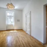 Rent 3 bedroom apartment in Praha 7