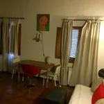 Rent 1 bedroom apartment in Florence