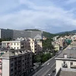 Affitto 2 camera appartamento di 20 m² in Genoa