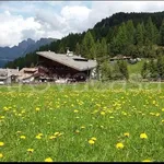 Rent 2 bedroom apartment of 40 m² in Selva di Val Gardena