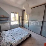 Rent 2 bedroom apartment of 50 m² in Milano