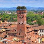 Rent 2 bedroom apartment of 54 m² in Lucca