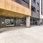 Rent 2 bedroom apartment of 83 m² in Zagreb