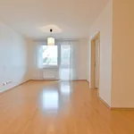 Rent 3 bedroom apartment in Brno