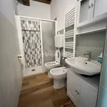 Rent 2 bedroom apartment of 35 m² in Siena