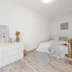 Rent 1 bedroom house of 71 m² in Brno