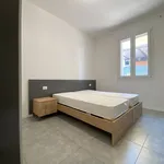 Rent 2 bedroom apartment of 45 m² in Verona