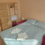 Rent 1 bedroom apartment of 38 m² in Turin