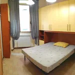 Rent 2 bedroom apartment of 45 m² in Roma