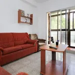 Rent 16 bedroom apartment in Granada