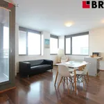 Rent 2 bedroom apartment of 58 m² in Brno