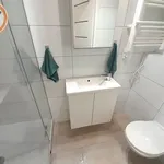 Rent 1 bedroom apartment of 25 m² in Chorzów