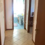 Rent 3 bedroom apartment of 80 m² in Misano Adriatico