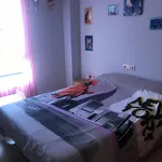 Bright room with double bed and own bathroom well connected to the city center of Alicante