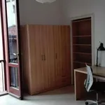 Rent a room in bologna