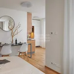 Pronajměte si 1 ložnic/e byt o rozloze 46 m² v Prague