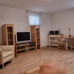 Rent 1 bedroom apartment of 33 m² in Frankfurt