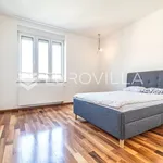 Najam 4 spavaće sobe stan od 164 m² u City of Zagreb