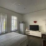 Kamer van 15 m² in Binnenstad