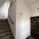 Rent 1 bedroom apartment of 39 m² in Pécs