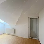 Rent 2 bedroom house of 300 m² in budapest