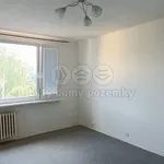 Rent 1 bedroom apartment of 36 m² in Jílové